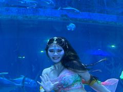 -华夏文旅海洋公园