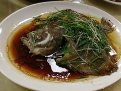 清蒸多宝鱼-旺角美食城(素龙店)