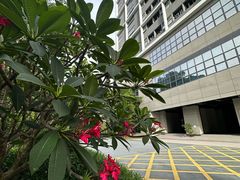 -深圳大学(丽湖校区)