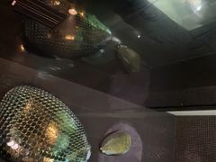-漫·汤泉