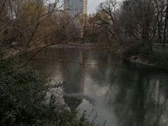 -北京动物园-畅观楼