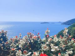 -珞珈山-售票处