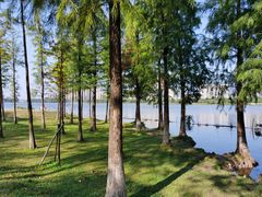 -飞来湖湿地公园
