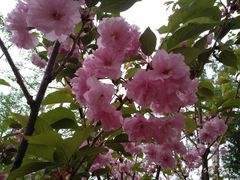 -长白岛森林公园