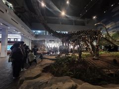 -自贡恐龙博物馆