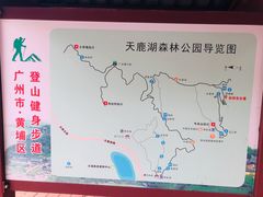 -天鹿湖森林公园