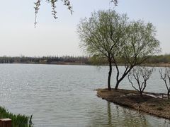 -东郊湿地公园