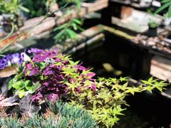 -The Flowers Coffee(南山店)
