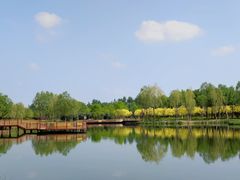 -东郊湿地公园