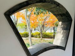 -秋霞圃