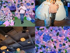 -顺德南宏海立方海洋公园