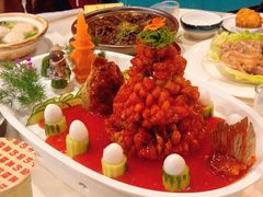 -丁老爷子苏香圆