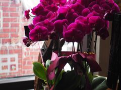 -Africafe(非洲咖啡)