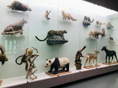 -国家自然博物馆