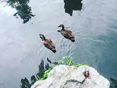 -浙江省博物馆(孤山馆区)