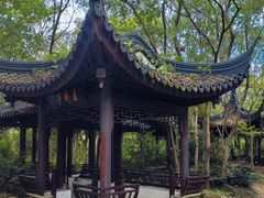 -上海佘山国家森林公园天马山园