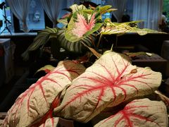 -路易时光(蕴川路店)