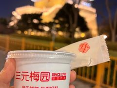 -三元梅园(团结湖店)