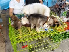 -长春农业博览园