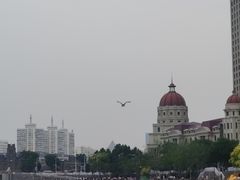 -海河游船(古文化街码头)