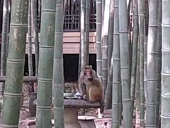 -苏州环秀晓筑养生度假村