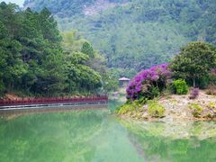 -广州白江湖森林公园