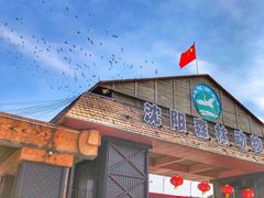 -沈阳森林动物园