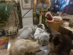 -小时光咖啡馆(北锣鼓巷店)