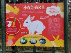 -无锡动物园·太湖欢乐园