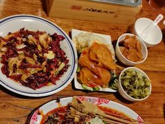 -福苗小骆驼烧烤(莲湖路店)