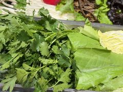 -东道煮牛肉火锅(东盛大街店)