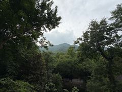 -灵顺寺