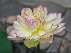 -石峰岩寺