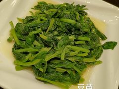 -新南华大酒店(广中店)