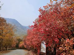 -北京鹫峰国家森林公园