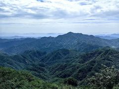-六里坪国家森林公园