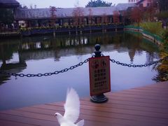 -茵特拉根酒店·西餐厅