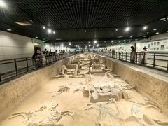 -洛阳周王城天子驾六博物馆