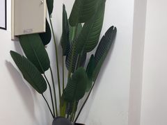 -红像馆连锁精致证件照职场照(中关村店)