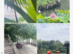 -金山公园