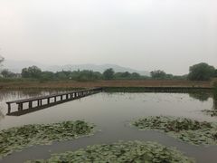 -长兴太湖图影湿地文化园