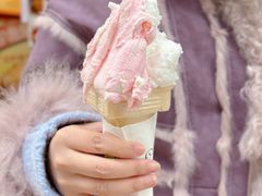 -柠檬车露(卖草地店)