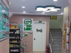 -天使宠物医院·犬猫分诊(彩虹店)