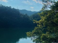 -佛山市三水区大南山森林公园
