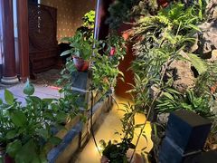 -金指缘足浴(望园路旗舰店)