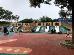 -大兴滨河森林公园