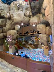 -卡通尼·Safari非洲探索乐园·生日会(金桥国际商业广场店)