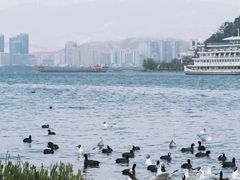 -兴盛大桥