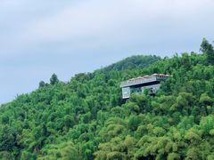 -川西竹海景区