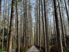 -上海怡沁园度假酒店